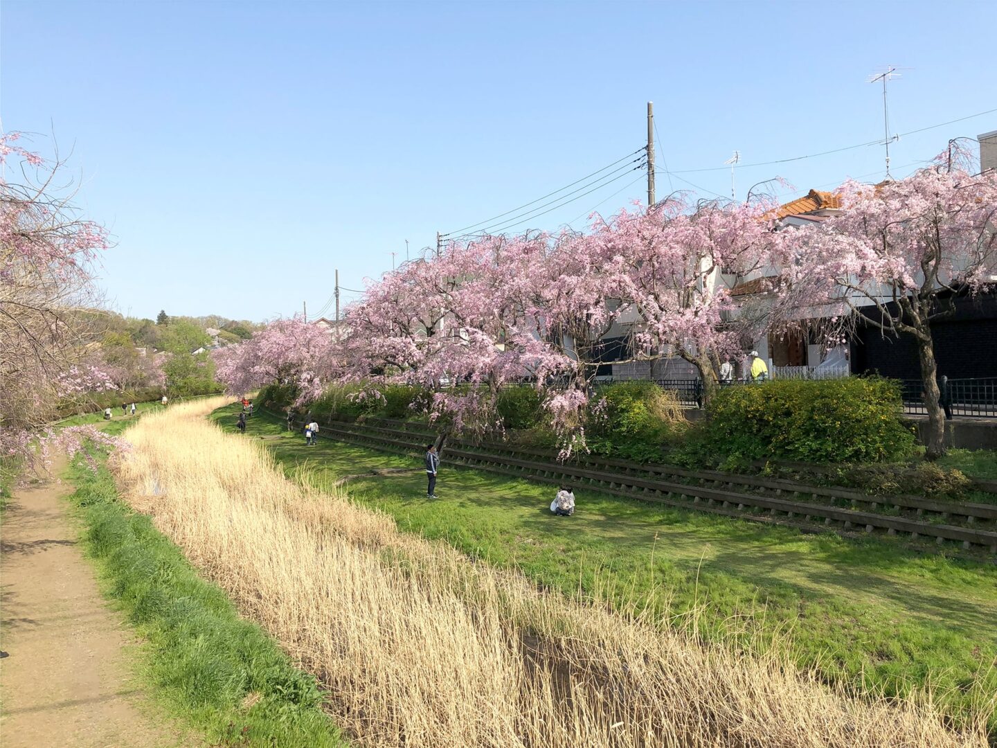 東京小金井ロータリークラブ